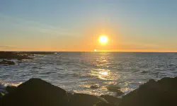 Featured image of post Annual 40 Questions - 2025