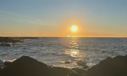 Featured image of post Annual 40 Questions - 2025