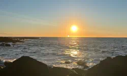 Featured image of post Annual 40 Questions - 2025