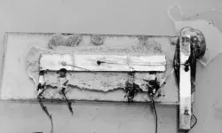 Featured image of post FoCS 02 - Positional notation