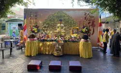 Featured image of post 读后感 - 学会去爱